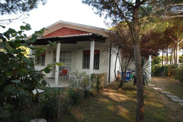 Villa Maila 비비오네 외부 사진